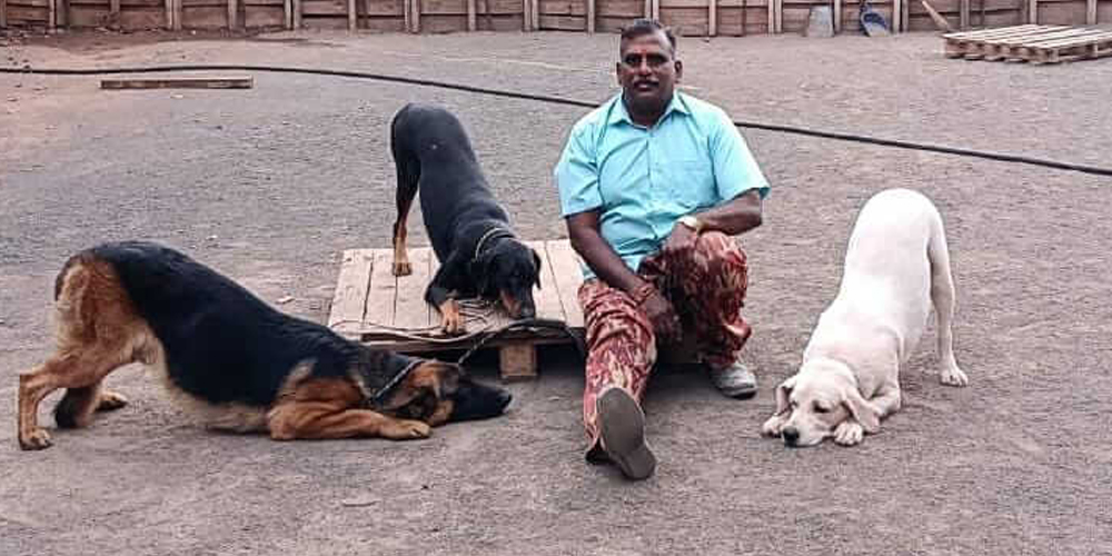 Dog hostel and Training in Salem